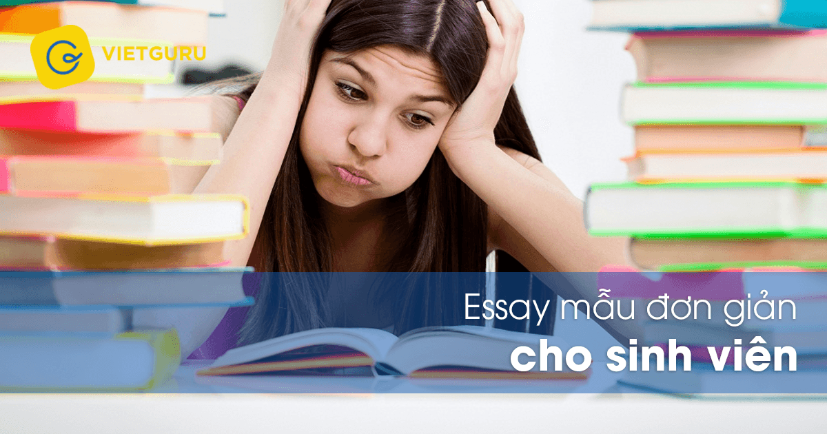 essay mau don gian