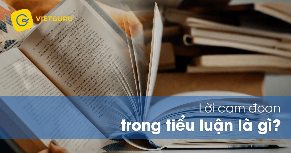 loi cam doan trong tieu luan