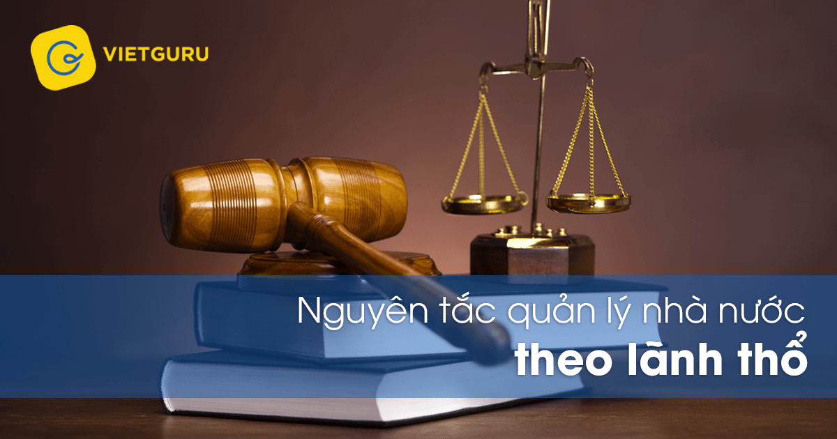 Nguyên tắc quản lý nhà nước theo lãnh thổ gồm những gì? Nguyên tắc quản lý nhà nước theo lãnh thổ