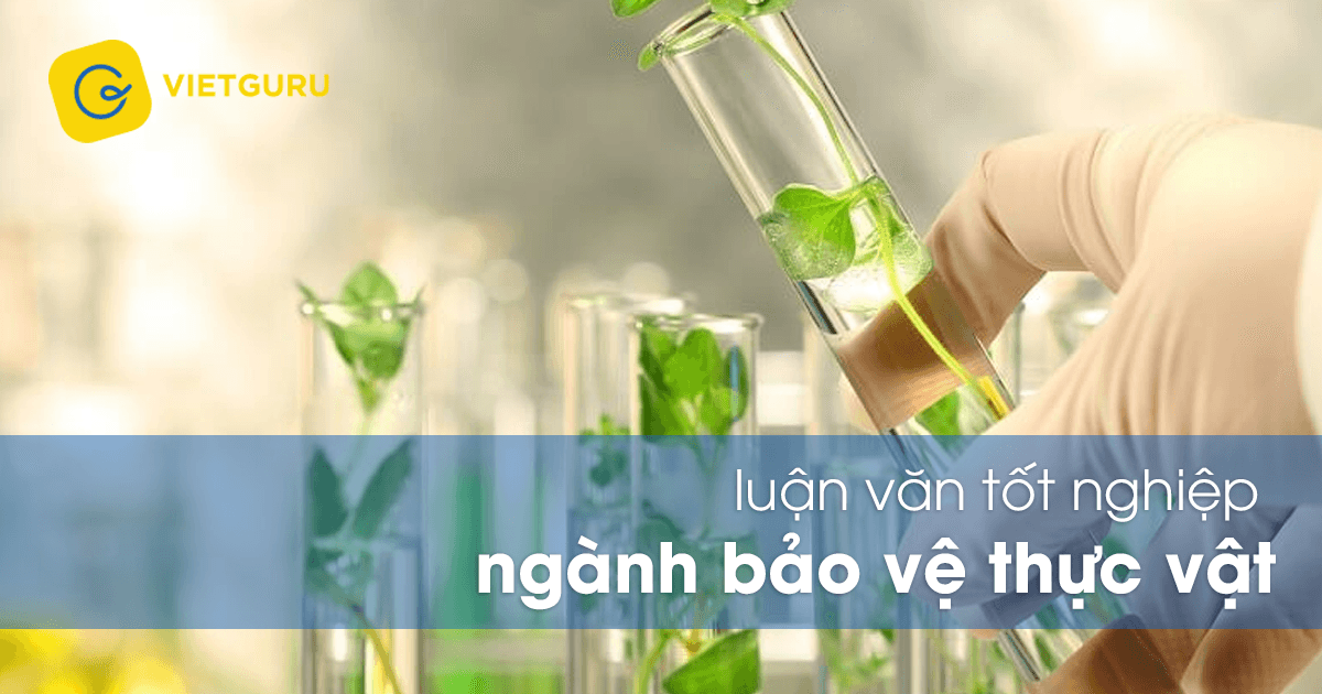 Luận văn tốt nghiệp ngành bảo vệ thực vật