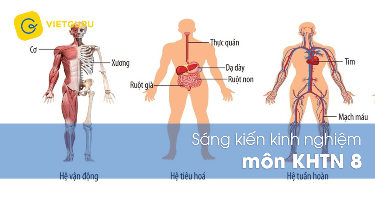 Sáng kiến kinh nghiệm môn KHTN 8