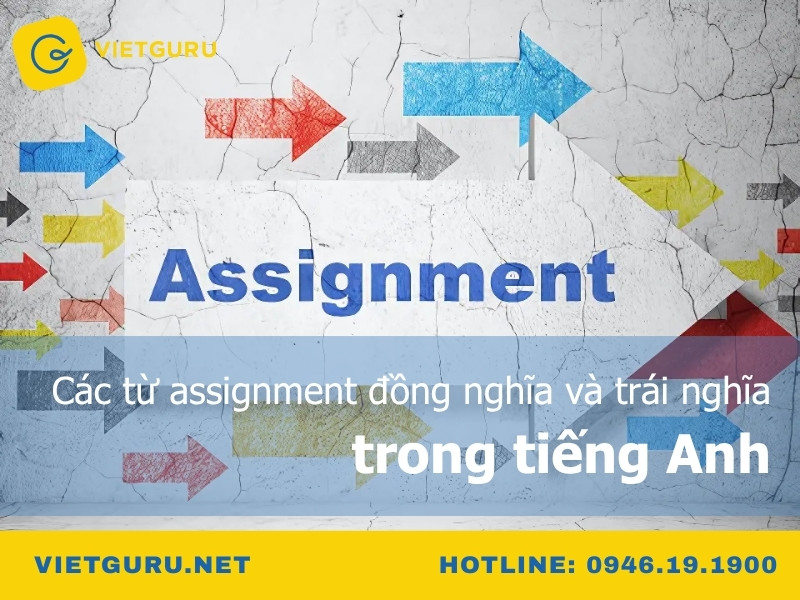 Các từ assignment đồng nghĩa và trái nghĩa trong tiếng Anh