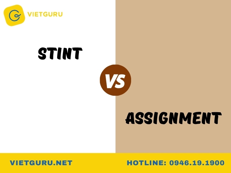 Các từ assignment đồng nghĩa và trái nghĩa trong tiếng Anh Khi nào dùng "stint" thay cho "assignment"?