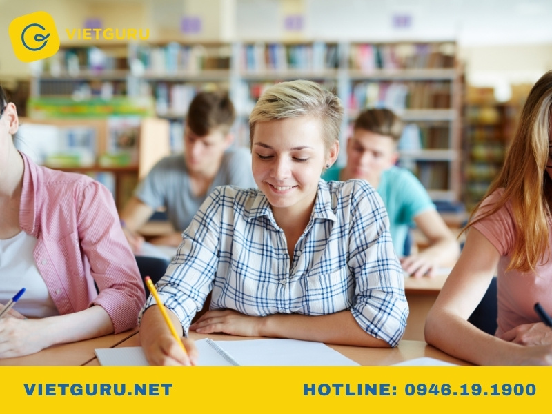 Classification Essay là gì? Cách viết bài luận phân loại chuẩn học thuật Triển khai bài luận theo dàn ý