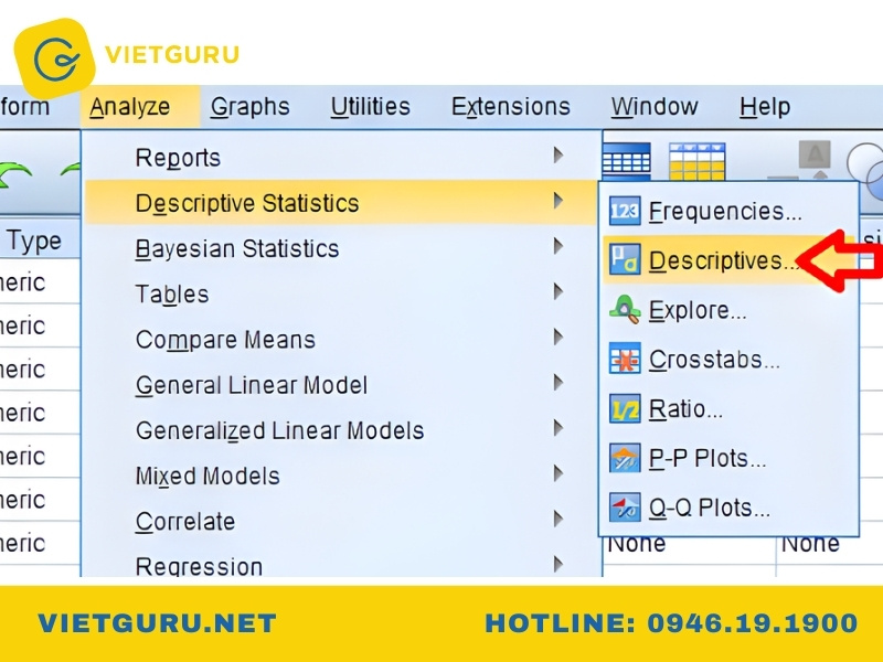 Chạy giá trị trung bình bằng Descriptive Statistics