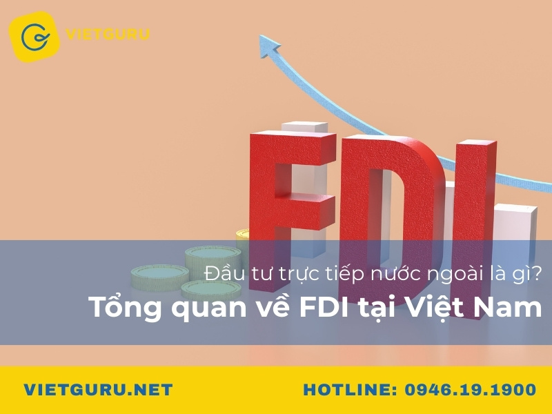 Đầu tư trực tiếp nước ngoài là gì? Tổng quan về FDI tại Việt Nam