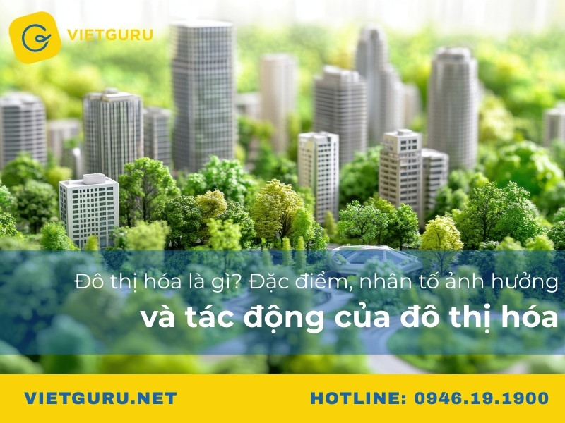 Đô thị hóa là gì? Đặc điểm, nhân tố ảnh hưởng và tác động của đô thị hóa