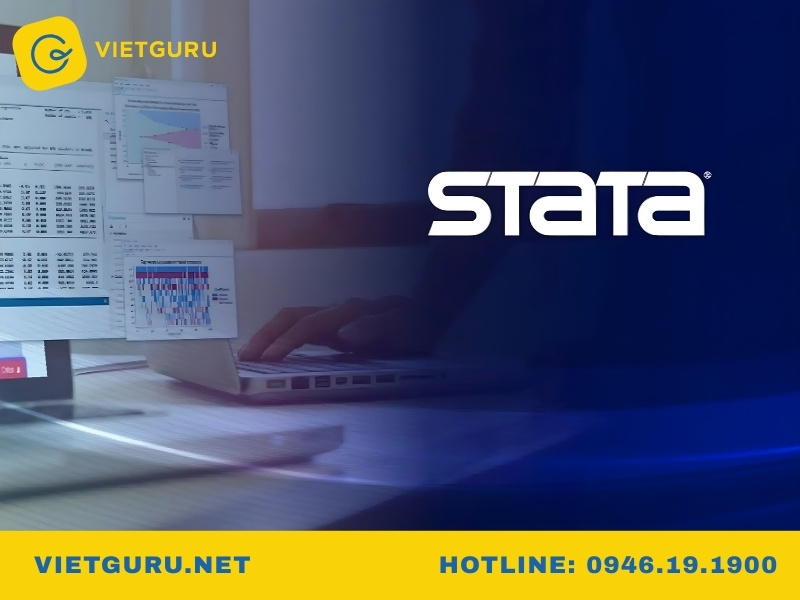 Stata có hỗ trợ tiếng Việt không?