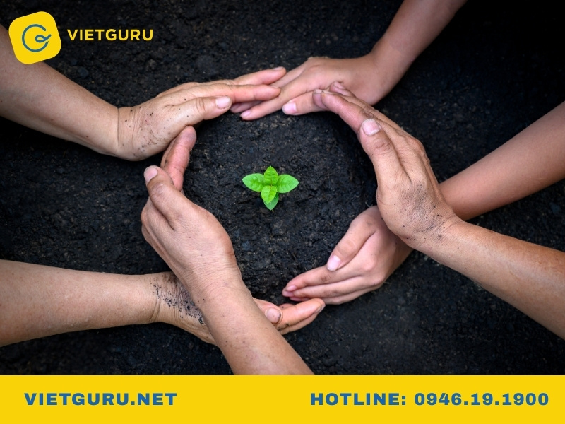 Mẫu tiểu luận quản lý nhà nước về môi trường