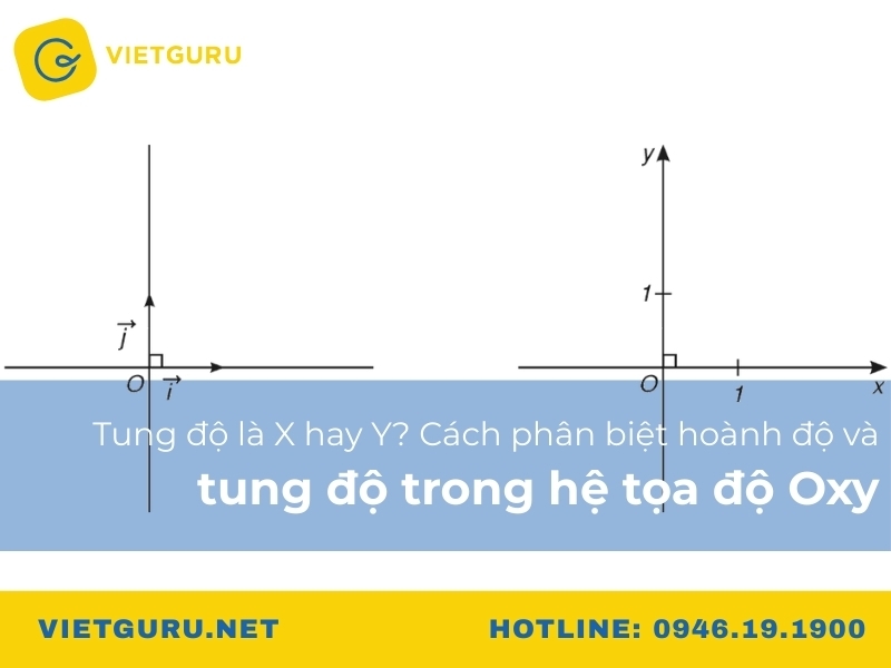 Tung độ là x hay y? Cách phân biệt hoành độ và tung độ trong hệ tọa độ Oxy