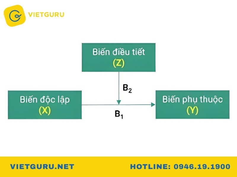 Biến điều tiết là gì trong nghiên cứu khoa học?