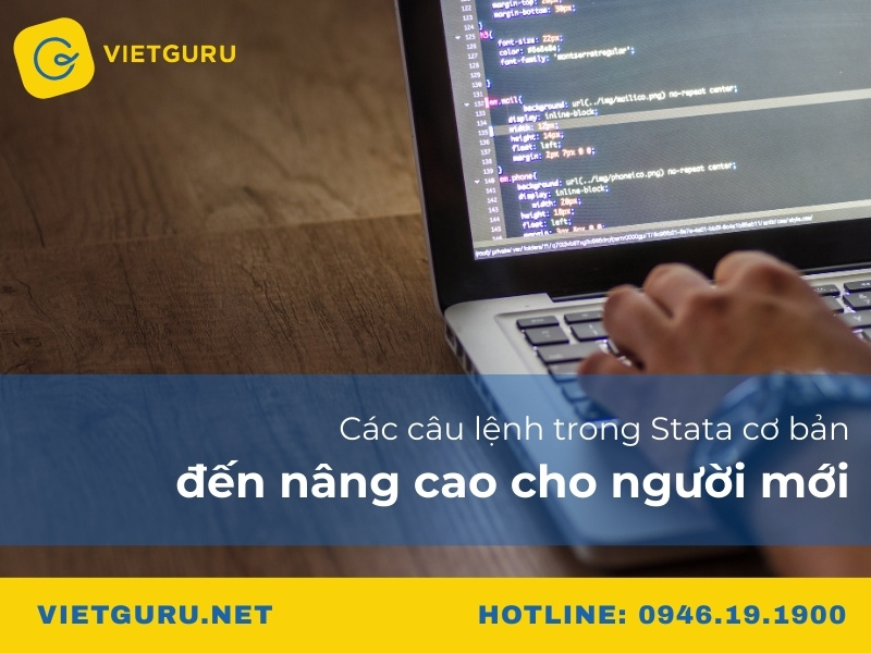 Các câu lệnh trong Stata cơ bản đến nâng cao cho người mới