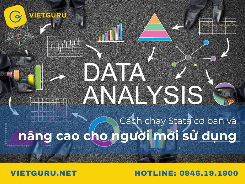 Cách chạy Stata cơ bản và nâng cao cho người mới sử dụng