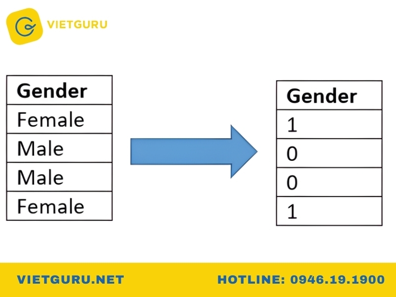 Dummy variable (biến giả) là gì?