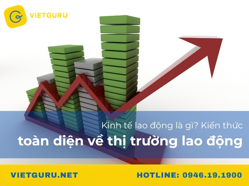 Kinh tế lao động là gì? Kiến thức toàn diện về thị trường lao động
