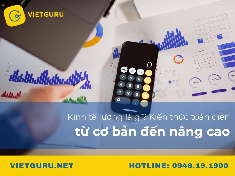 Kinh tế lượng là gì? Kiến thức toàn diện từ cơ bản đến nâng cao Kinh tế lượng là gì? Kiến thức toàn diện từ cơ bản đến nâng cao