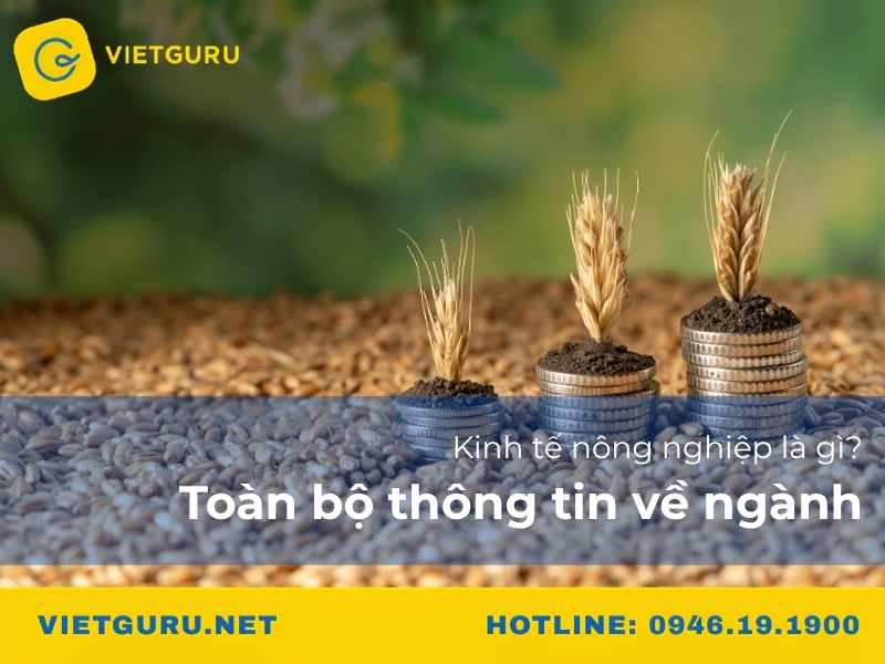 Kinh tế nông nghiệp là gì? Toàn bộ thông tin về ngành