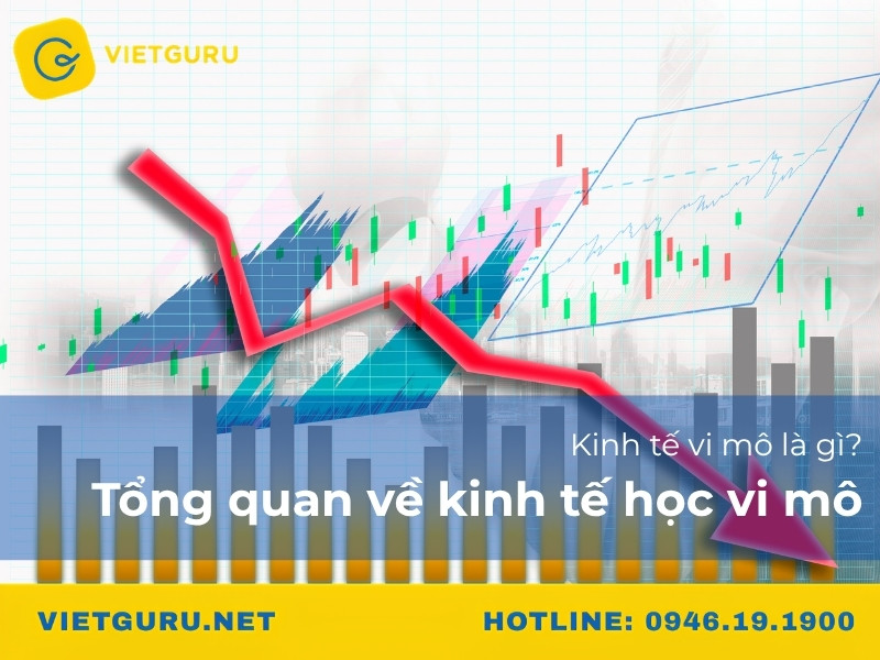 Kinh tế vi mô là gì? Tổng quan về kinh tế học vi mô