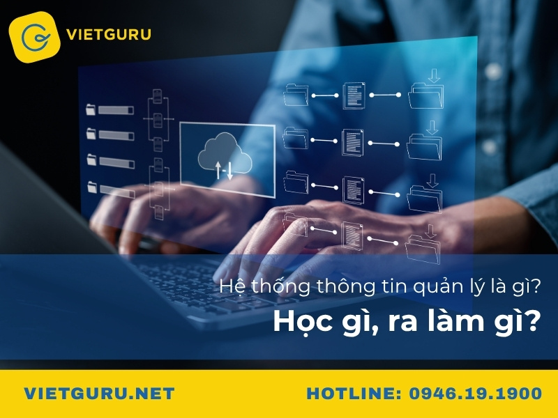Hệ thống thông tin quản lý là gì? Học gì, ra làm gì?