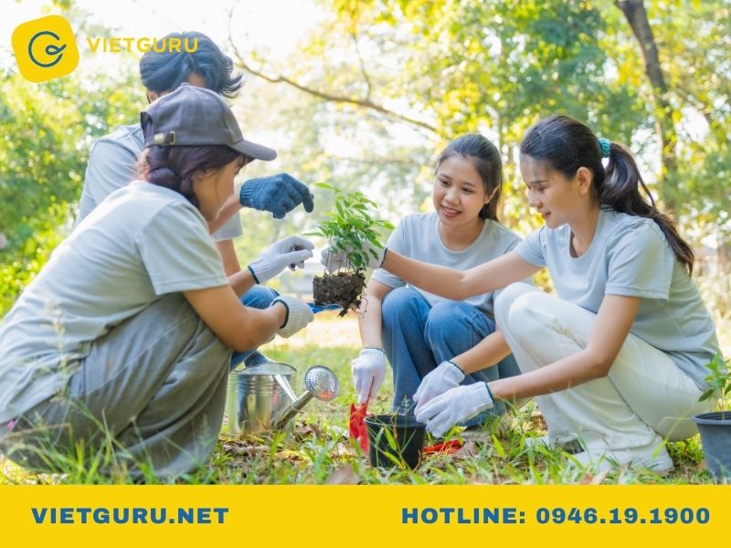 Quản lý tài nguyên rừng là gì? Học gì, ra làm gì? Học quản lý tài nguyên rừng ra làm nghề gì?