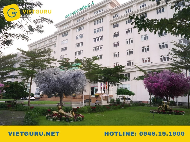Quản trị văn phòng là gì? Học gì và ra trường làm gì? Học Quản trị văn phòng ở trường nào uy tín?