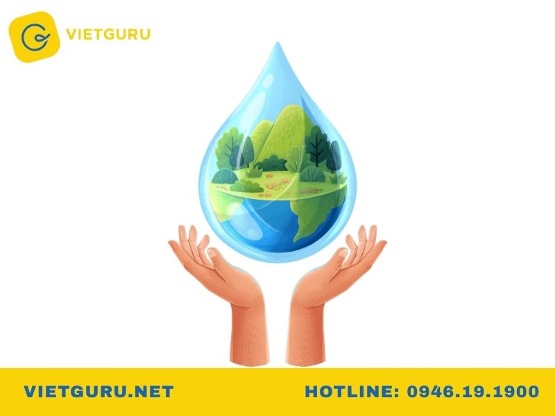 Quản lý tài nguyên rừng là gì? Học gì, ra làm gì? Chương trình đào tạo ngành quản lý tài nguyên rừng