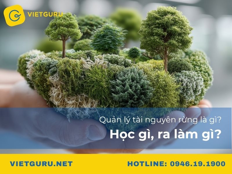 Quản lý tài nguyên rừng là gì? Học gì, ra làm gì?