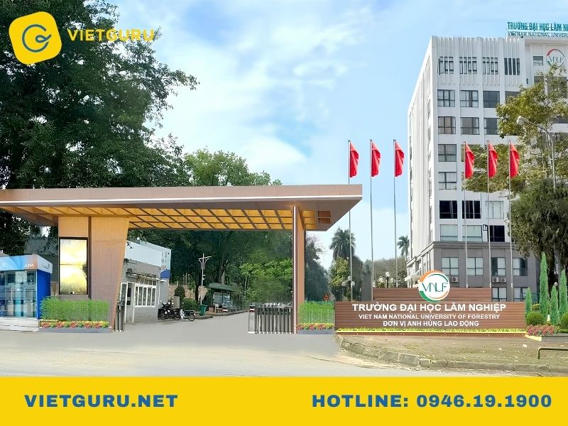 Quản lý tài nguyên rừng là gì? Học gì, ra làm gì? Các trường có khoa quản lý tài nguyên rừng uy tín