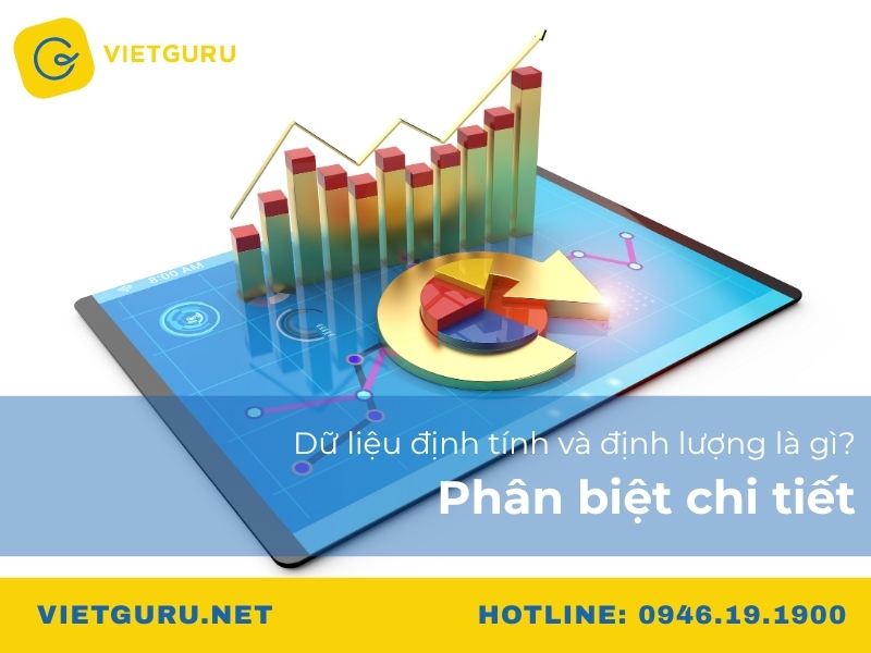 Dữ liệu định tính và định lượng là gì? Phân biệt chi tiết