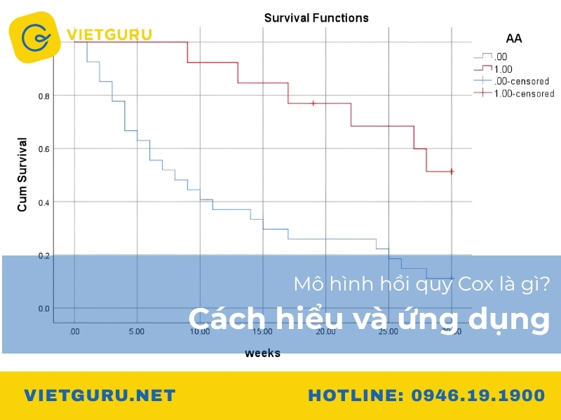Mô hình hồi quy Cox là gì? Cách hiểu và ứng dụng