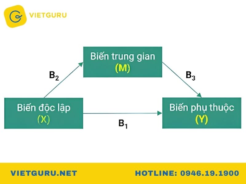 Biến trung gian là gì? Cách kiểm định trong SPSS Vai trò của biến trung gian trong nghiên cứu khoa học