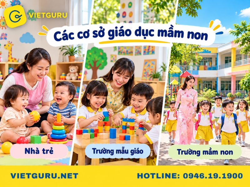 Giáo dục mầm non gồm có các cơ sở nào?