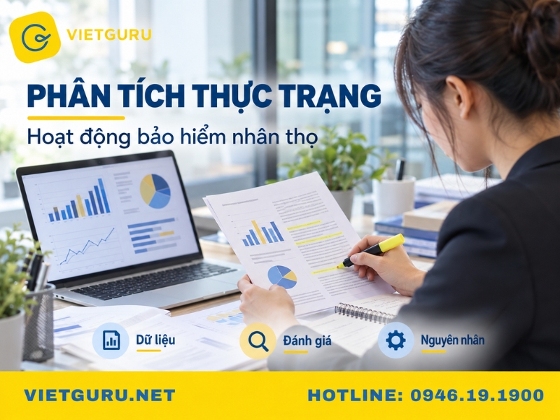 Cấu trúc chuẩn của một bài luận văn về bảo hiểm nhân thọ