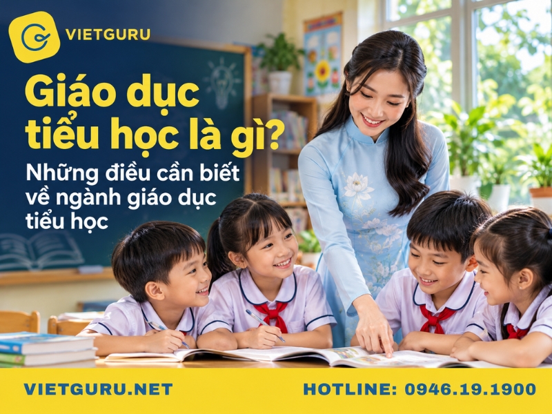Giáo dục tiểu học là gì? Những điều cần biết về ngành giáo dục tiểu học